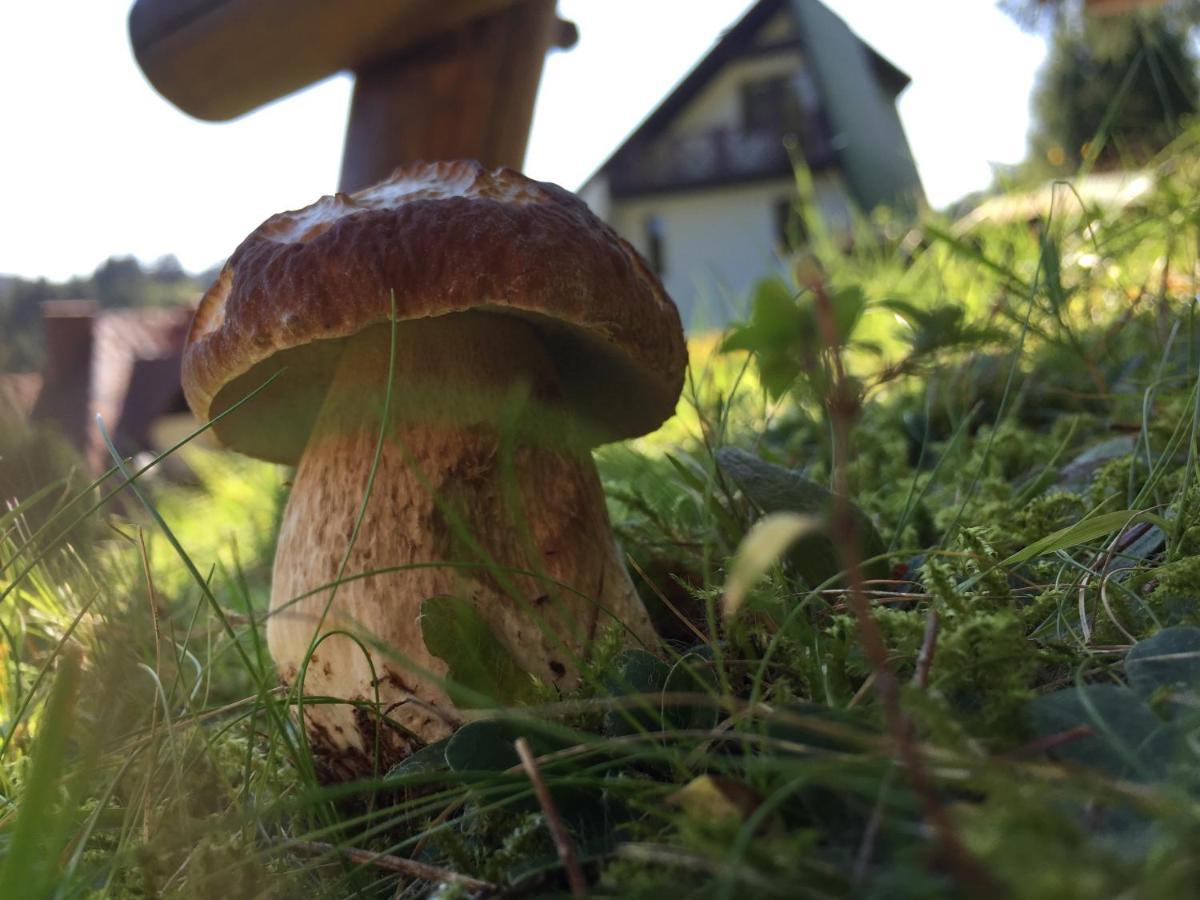 Cerla Korbielów 外观 照片